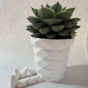 Doniczka z nogami – projekt druku 3D | Miniaturowa doniczka, prezent, dekoracja parapetu