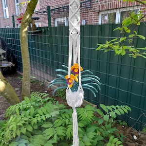 hanging basket