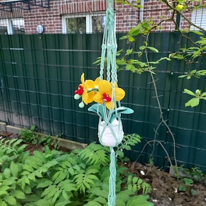 hanging basket