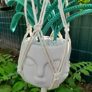 hanging basket
