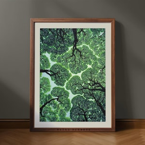 Pode incluir: Uma impressão de arte emoldurada com uma vista para cima através do dossel de árvores verdes. A obra de arte tem um céu azul claro espreitando através das folhas. A moldura é de cor castanho escuro, e o texto "RETRO PLANETS" está na parte inferior.
