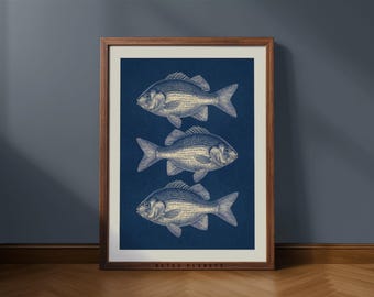 Vintage Fish Illustration Art Print: Lake House Decor (Digital Download