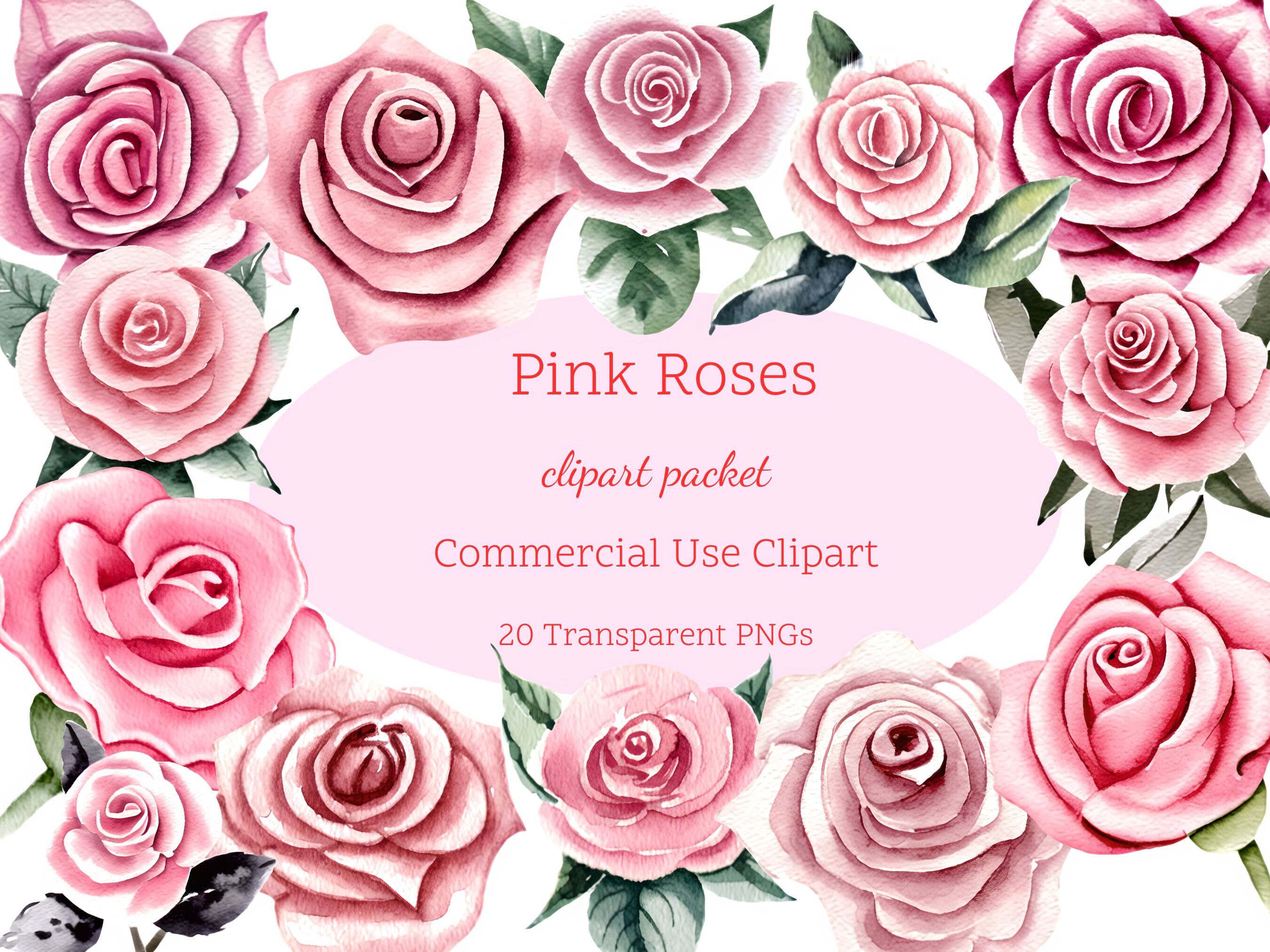 20 Watercolor Pink Roses Clipart | Pink Roses PNG | Watercolor Flowers ...