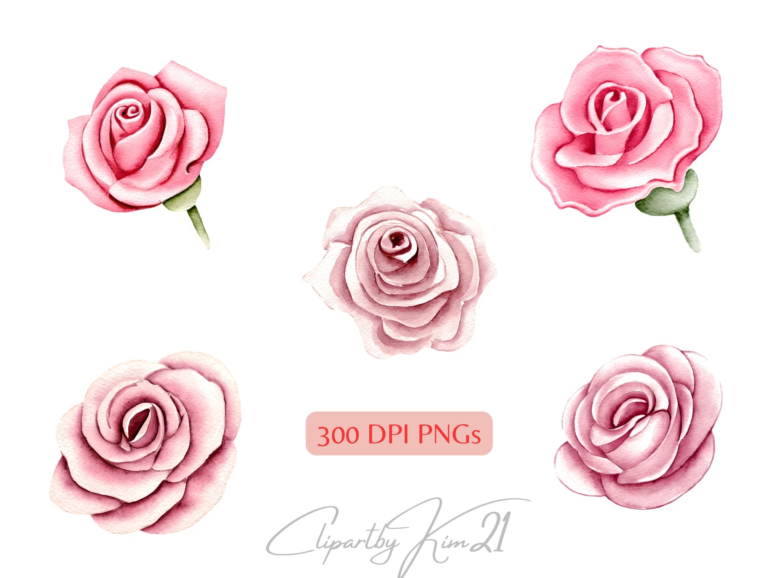 20 Watercolor Pink Roses Clipart | Pink Roses PNG | Watercolor Flowers ...