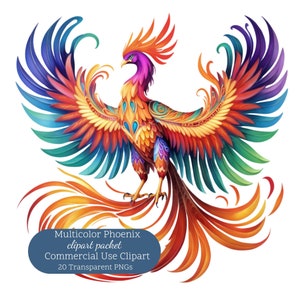 20 cliparts phénix multicolore | Clipart Phénix magique | Graphique d'oiseau mystique | Clipart mystique | Clipart fantastique | Créatures mythiques