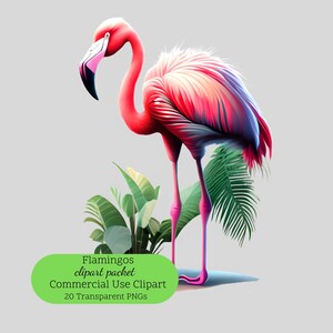 15 flamingo's clipart | Tropische vogels, png
