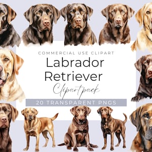 Labrador Retriever Clipart , High Quality Watercolour Labrador Retriever PNG Bundle, Digital Download, Pet Portrait Clipart, Commercial Use