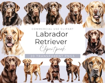 Labrador Retriever Clipart , High Quality Watercolour Labrador Retriever PNG Bundle, Digital Download, Pet Portrait Clipart, Commercial Use