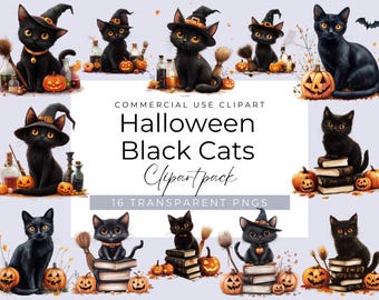 Black Cat Halloween Clipart Bundle, Books, Potion Bottles and Pumpkins, Spooky Halloween PNG images, Digital Download, for Commercial Use