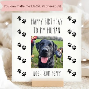 Tarjeta de cumpleaños con foto de mascota personalizada, para mi humano, para mi humano, guau, personalizada de perro, mamá perro, cumpleaños de papá perro, tarjeta linda y divertida