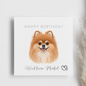 Personalised From Your Dog Birthday Card, Pomeranian Dog, Fluffy pet card, for my human, from your fur baby, from the dog card, pet lover
