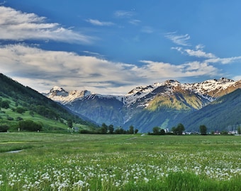 Digital Print Download | Switzerland | Ulrichen | mountains | Forest | Alps | snow | Rocks | Photo | Digital Photo | View | Alpine pass