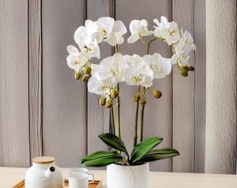 Exclusive Design Artificial 4 Stems Phalaenopsis Orchid Flowers Arrangement Personalized Gifts