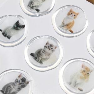 Gato, Gatitos Pegatinas De Sello De Cera, Cera De Sellado, Pegatinas De Sello De Cera Para Sobres, Sello De Cera Adhesivo, 12 Piezas, Sello De Letras