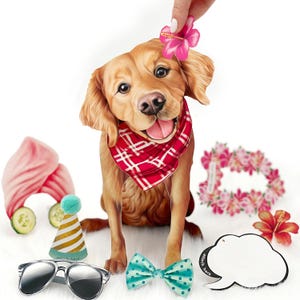 Carte de voeux pop-up Golden Retriever 3D - Accessoires personnalisables - Cadeau d'anniversaire parfait pour les enfants, les adultes et les amoureux des chiens