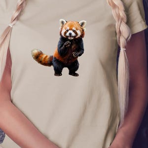 Conjunto de imágenes prediseñadas de panda rojo en formato PNG: descarga instantánea para diseños de sublimación con expresiones y poses divertidas (año 2000)