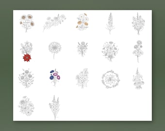 Colección de imágenes prediseñadas florales estilo cottagecore / Paquete PNG