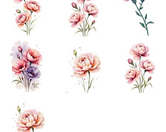 Soft Watercolor Pink Roses Floral Illustrations - Cottagecore Clipart for Instant Download and Sublimation Design