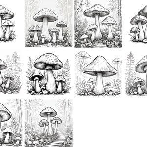 Komplizierte Schwarz und Weiß Pilz Illustrationen Sammlung für Clipart und Sublimation Design - Sofort Download