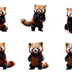 Roter Panda Clipart Sammlung zum sofortigen Download - Verspieltes Sublimationsdesign mit entzückenden roten Pandas