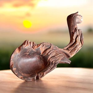 wooden spoon