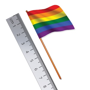 May include: A rainbow flag with red, orange, yellow, green, blue, and purple stripes is attached to a wooden stick. A ruler with centimeter markings is shown next to the flag.