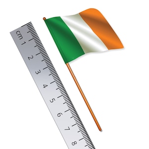 Peut inclure: Un petit drapeau irlandais sur un bâton en bois, à côté d'une règle graduée en centimètres. Le drapeau est vert, blanc et orange.