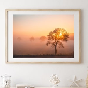 Nebel Und Baum druckbare Kunst, Natur Fotografie, Digital Download Fotografie, Landschaft Poster, Dekoration