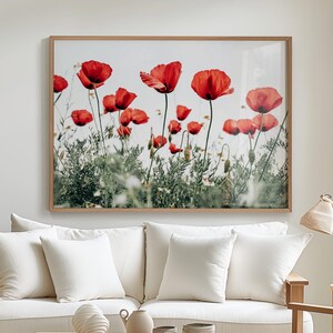 Red Poppy Field Photography Print: Botanical Wall Art (Digital Download)