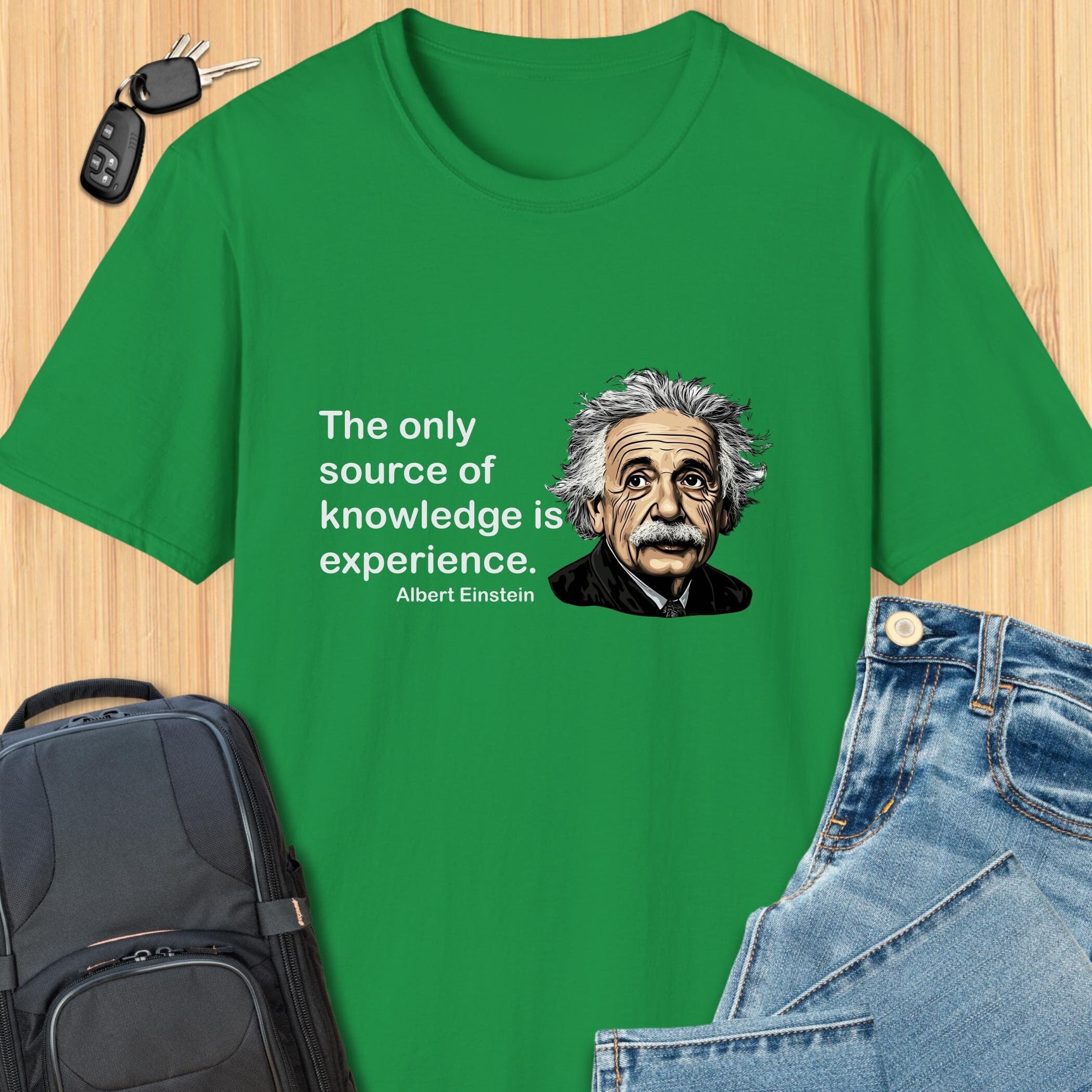 Albert Einstein the Only Source of Knowledge is Experience Quote T