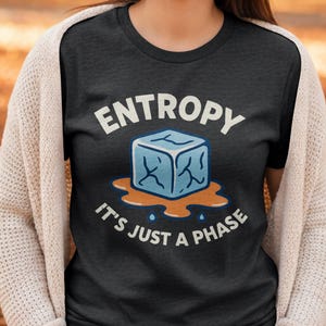 Op de afbeelding: Donkergrijs t-shirt met het woord "ENTROPY" boven een blauwe ijsblokje die smelt in een oranje plas. De zin "IT'S JUST A PHASE" staat eronder. De persoon draagt een crèmekleurig vest.