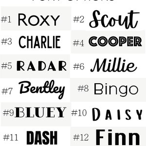 May include: A chart with 12 different font styles for names. Each font style is numbered and has a name written in the style. The names are Roxy, Scout, Charlie, Cooper, Radar, Millie, Bentley, Bingo, Bluey, Daisy, Dash, and Finn.