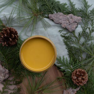 May include: A small, round container of yellow paint, surrounded by pine branches and pine cones.