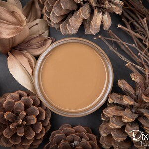 May include: A close-up of a small jar of brown paint with a smooth, glossy finish. The jar is surrounded by pine cones and dried flower petals, creating a rustic and natural aesthetic. The jar is labeled "Dixie Belle Paint Company."