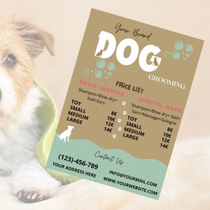 Lista de preços editável de cuidados com cães, folheto sobre cuidados com cães