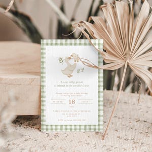 May include: Baby shower invitation with a whimsical goose illustration. The invitation features a green gingham border and includes the text "A new silly goose is about to be on the loose." Details include date, time, and RSVP information.
