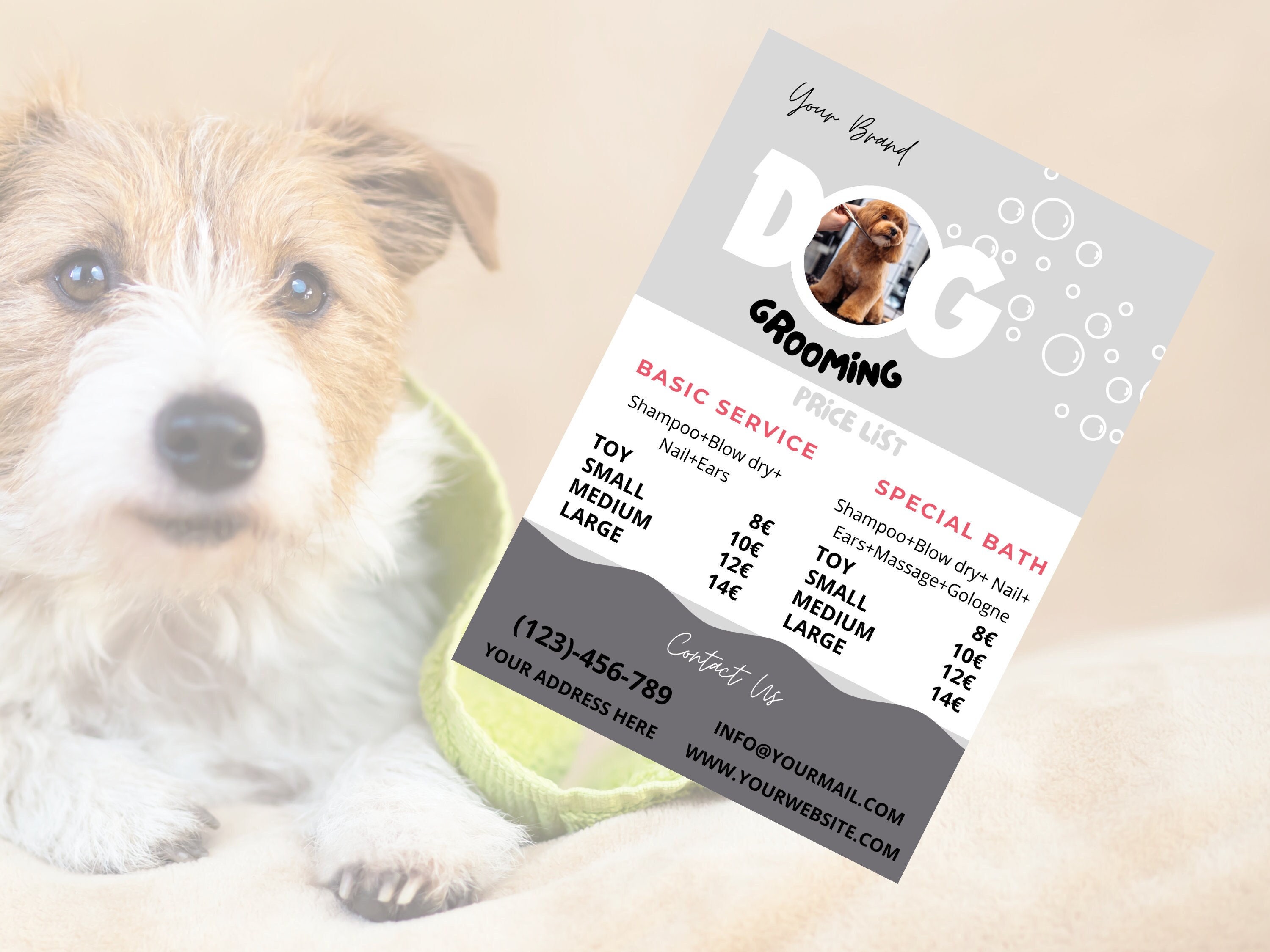 Price List Pet Groomer Near Me For Dogs Dog Grooming Price List