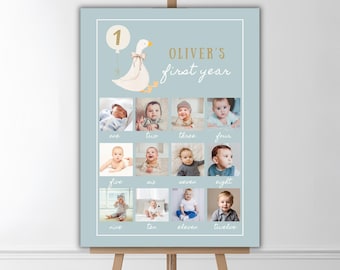 Editable One Silly Goose First Birthday Photo Board, Blue Monthly Photo Sign 1st Birthday Boy, Photo Poster, Silly Goose Party Decor