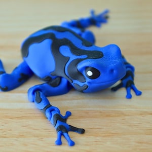 Cute Poison Dart Frog – 3D Printed Articulated Fidget Toy – Unique Gift for Kids, Collectors & Animal Lovers