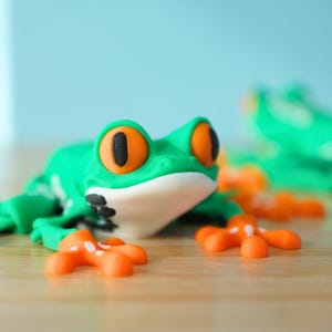 Cute Colorful Tree Frog – 3D Printed Articulated Fidget Toy – Unique Gift for Kids, Collectors & Animal Lovers