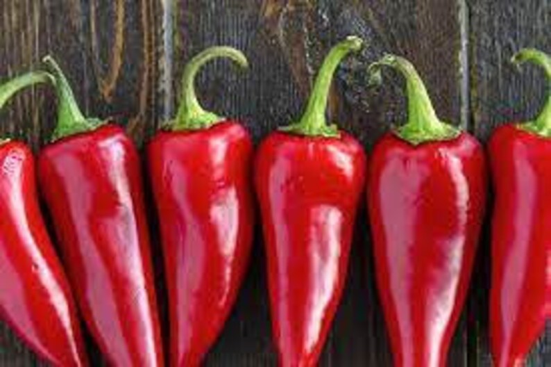 Heirloom Fresno Chili Pepper Seeds Etsy