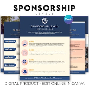 Nonprofit Event Sponsorship Fundraising Flyers, Non Profit Sponsor Levels, Event Sponsorship Package, Donation Package, Editable Infographic