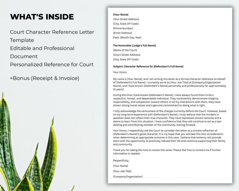 May include: A white document template with the text "Court Character Reference Letter" and "Editable and Professional Document." The document includes fields for the judge's name, court address, and a subject line. A bonus receipt and invoice are also included.