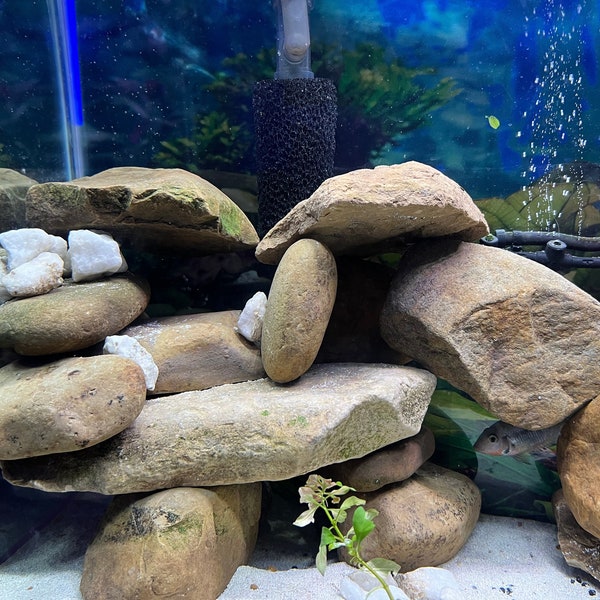 Natural River Rocks for Aquariums and Terrariums (3 rocks for 15 dollars)