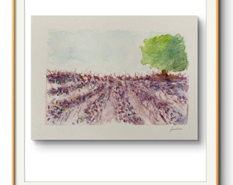 Champ de lavande aquarelle II