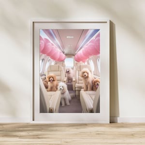 Cães em um jato, download digital