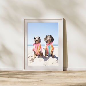 cães de praia, download digital