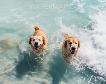 dogs in ocean, golden retrievers, golden retriever art, dog art prints, dogs at beach, beach prints