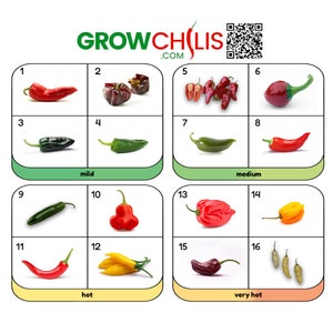 Pepper seeds set 2024