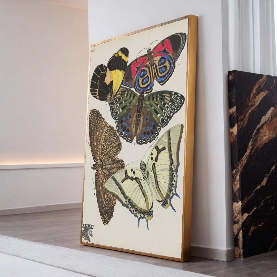 Vintage Butterfly Botanical Chart Print, Antique French Entomological ...